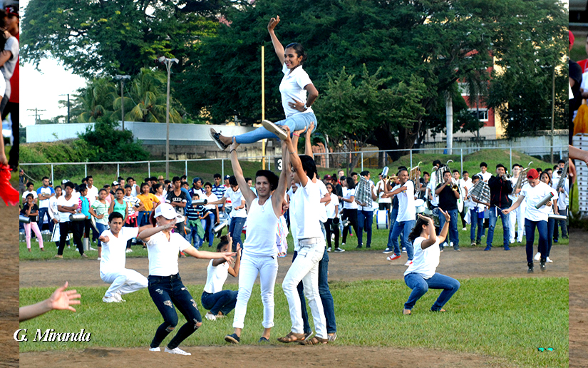 bandas